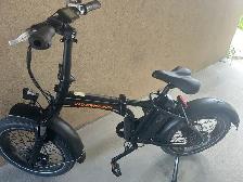 Vélo Électrique 750 Watts