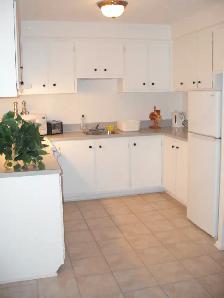 ANJOU 4 1/2 TOUT INCLUS DISPONIBLE MAINTENANT - Photo 5