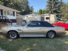 Dodge CMX Mirada
