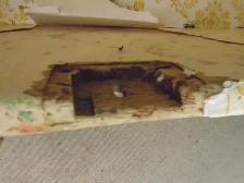 Antique blanket box - Photo 4