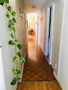 4 ½  à Rue Nantel, Brossard - 2 chambres, stationnement - Photo 2