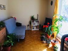 4 ½  à Rue Nantel, Brossard - 2 chambres, stationnement - Photo 3