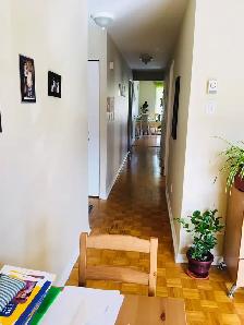 4 ½  à Rue Nantel, Brossard - 2 chambres, stationnement - Photo 6