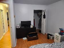 R.D.P.  4 1/2 Libre 1er septembre 2026 - Photo 5