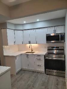 Modern 1 Bedroom Apartment