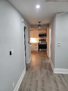 Modern 1 Bedroom Apartment - Photo 6