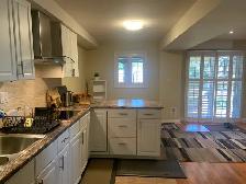 1 Bedroom Basement Apartment - Photo 2