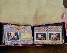Purebred Registered Persian & Exotic Kittens - Photo 7