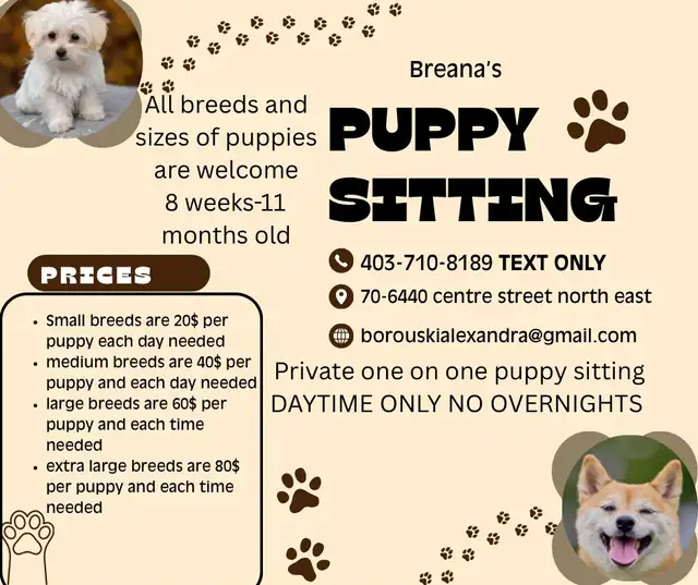 Puppy sitting