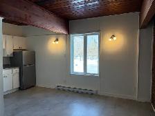 Superbe loft 1 /2, 1er étage Lévis, Libre - Photo 6