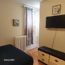 LARGE DELUXE ROOM IN DOWNTOWN TORONTO - Photo 4