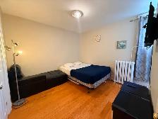 LARGE DELUXE ROOM IN DOWNTOWN TORONTO - Photo 11