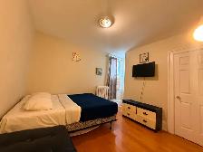 LARGE DELUXE ROOM IN DOWNTOWN TORONTO - Photo 12
