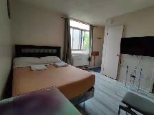 JUNIOR STUDO IN DOWNTOWN TORONTO - Photo 2