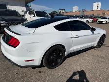 2022 Ford Mustang Eco - Photo 2