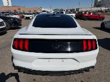 2022 Ford Mustang Eco - Photo 3