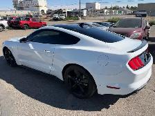 2022 Ford Mustang Eco - Photo 4