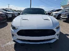 2022 Ford Mustang Eco - Photo 6
