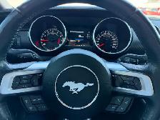 2022 Ford Mustang Eco - Photo 10