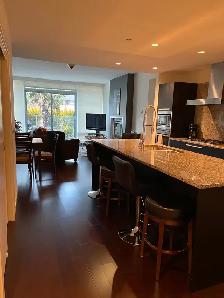 Attn Snowbirds Condo For Rent Victoria BC - Photo 3