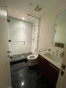 Attn Snowbirds Condo For Rent Victoria BC - Photo 7