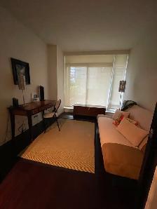 Attn Snowbirds Condo For Rent Victoria BC - Photo 8