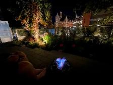 Attn Snowbirds Condo For Rent Victoria BC - Photo 10