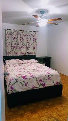 4 1/2 à Longueuil - Rue Cartier