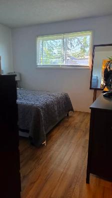 Very close to UofA, Scona, Whyte Ave, Shops, Bus, Short ride DT - Photo 8