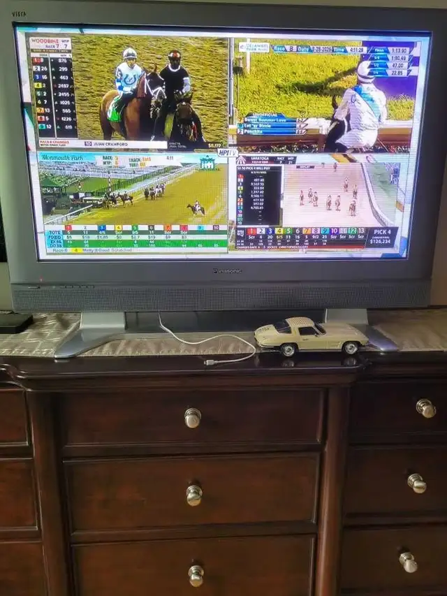 46' Panasonic Plasma TV