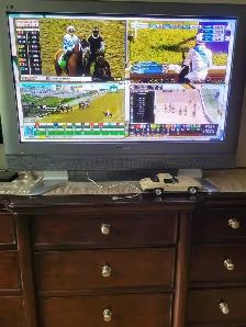 46' Panasonic Plasma TV