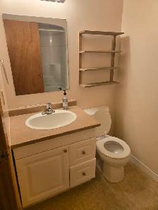 Nice 3 Bedroom Unit FOR RENT in Duplex in Beautiful Strathroy! - Photo 9