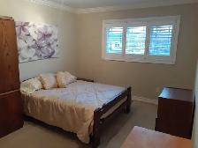 sharing accommodations available from September the 1st - Photo 2