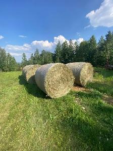 Hay For Sale 100% Timothy