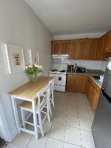 2 bedroom apt with large living room in a Victorian home - Photo 13