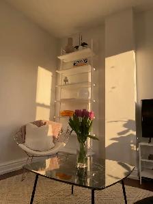 2 bedroom apt with large living room in a Victorian home - Photo 15