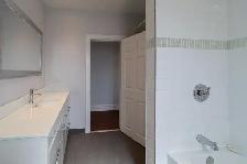 2 bedroom apt with large living room in a Victorian home - Photo 17