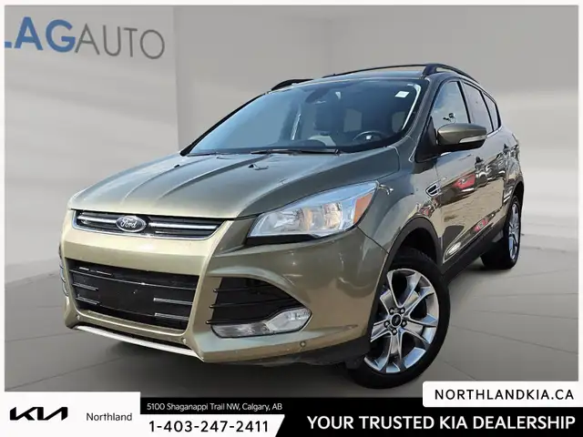 2013 Ford Escape SEL