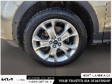 2013 Ford Escape SEL - Photo 7