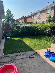 4 bedroom house available for rent /lease - Photo 9