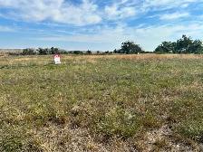 Prime 1.87-Acre Property for Sale in the Village of Empress! - Photo 2
