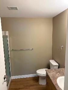 55  condo in Niverville - Photo 5