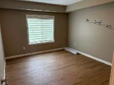 55  condo in Niverville - Photo 6