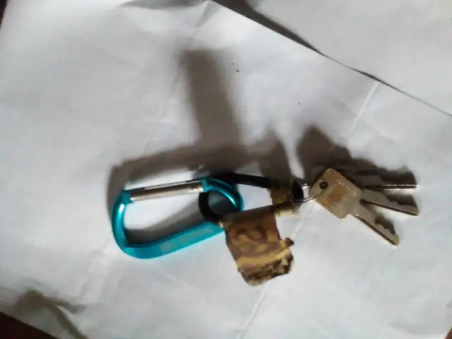 REWARD LOST Keys St George park area