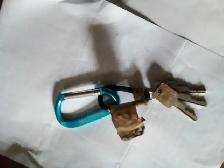 REWARD LOST Keys St George park area