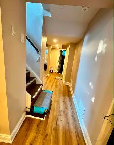 Two bedroom basement for rent - Photo 4