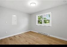 House for Rent - Photo 4