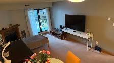 2 Bedroom, 2 Bathroom Apartment for Rent