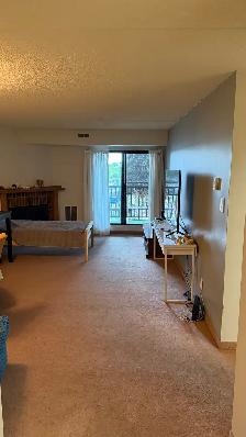 2 Bedroom, 2 Bathroom Apartment for Rent - Photo 3