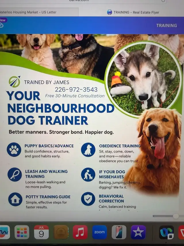 Trained By James Dog Training Services